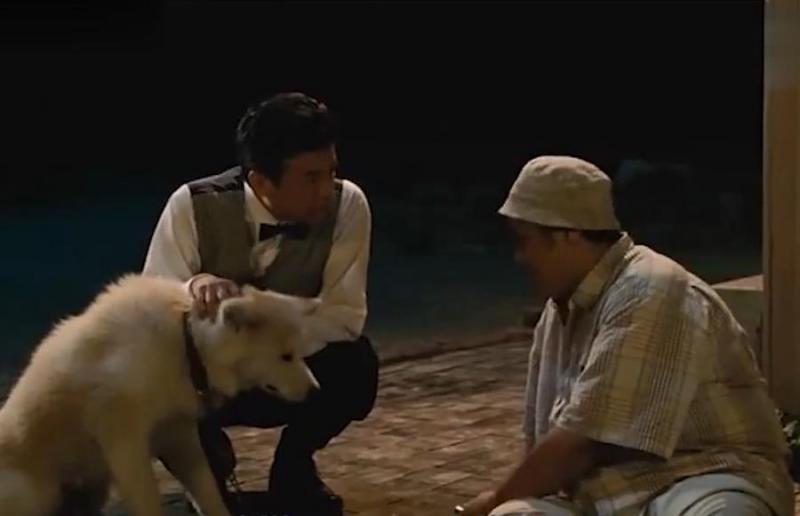 忠犬不知道主人已離開世界，每天去街道撿食物送給主人，感動哭了！