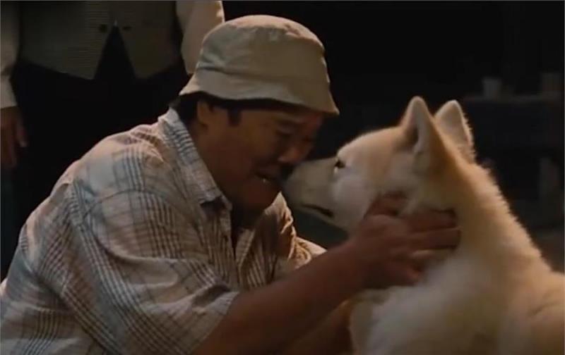 忠犬不知道主人已離開世界，每天去街道撿食物送給主人，感動哭了！