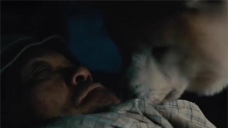 忠犬不知道主人已離開世界，每天去街道撿食物送給主人，感動哭了！
