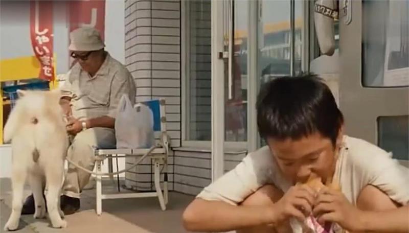 忠犬不知道主人已離開世界，每天去街道撿食物送給主人，感動哭了！
