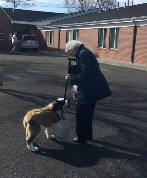 93歲奶奶走了老伴就一直獨居　隔壁大狗溫馨來認親：當我阿嬤豪不好