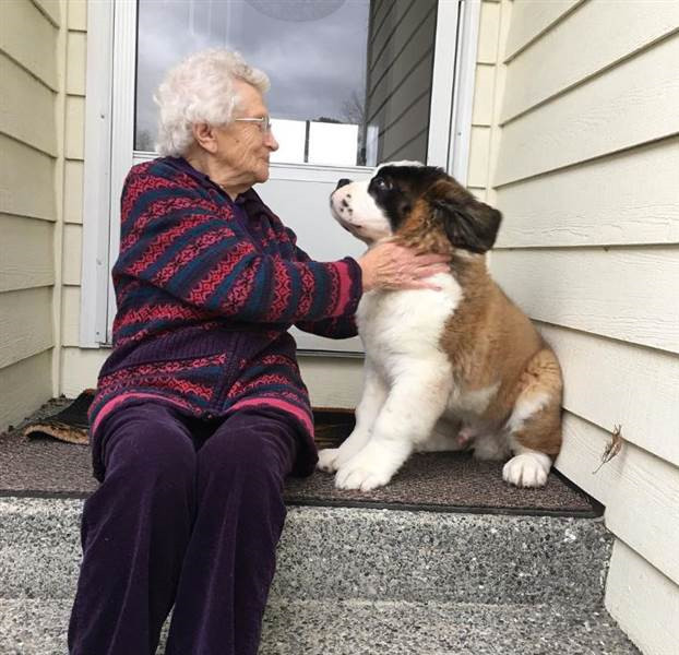 93歲奶奶走了老伴就一直獨居　隔壁大狗溫馨來認親：當我阿嬤豪不好