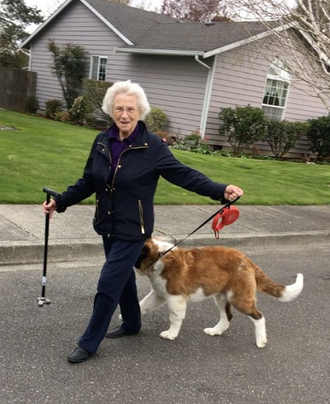 93歲奶奶走了老伴就一直獨居　隔壁大狗溫馨來認親：當我阿嬤豪不好