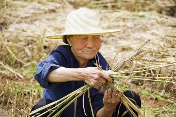 母親80多歲，大兒子吃過飯就喊，媽快洗碗，倆兄弟卻說大哥最孝順