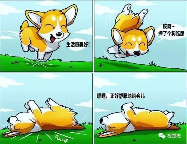 太治癒了！心情糟糕或是鬱悶時，看完心情瞬間好了