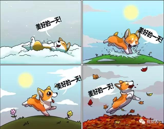 太治癒了！心情糟糕或是鬱悶時，看完心情瞬間好了