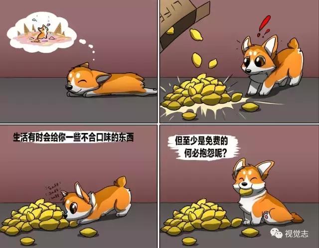 太治癒了！心情糟糕或是鬱悶時，看完心情瞬間好了