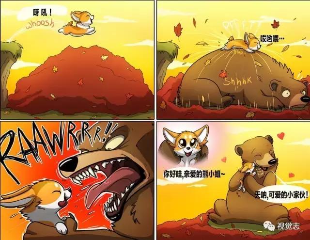 太治癒了！心情糟糕或是鬱悶時，看完心情瞬間好了