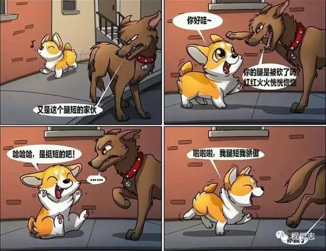 太治癒了！心情糟糕或是鬱悶時，看完心情瞬間好了