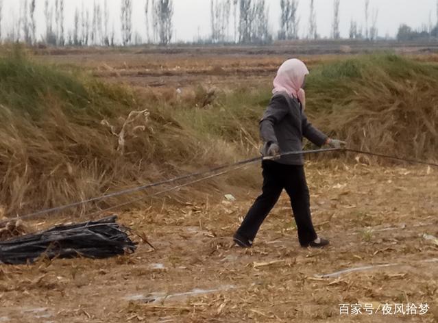 父母走後嬸嬸將他養大，帶女友吃飯見一清潔工，他下跪磕三個響頭