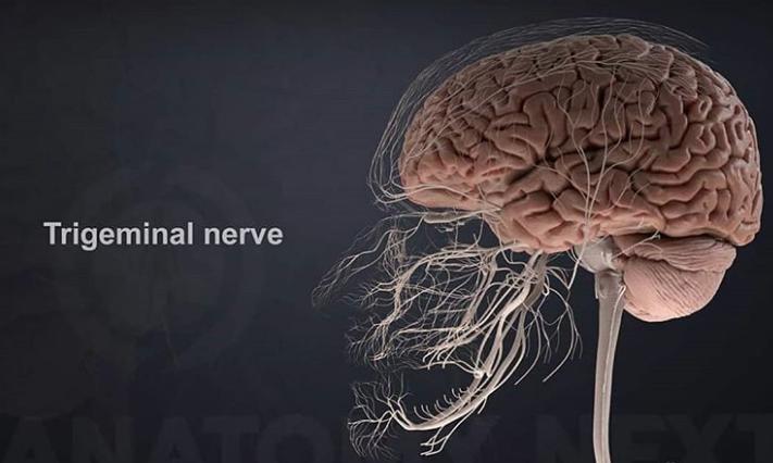 90%的雷擊不會奪命　18個「今天才知道」的超驚奇人體事實