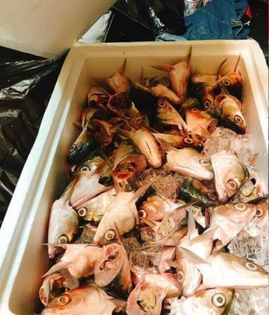 交換禮物給一箱鮮味...開箱「滿滿海鮮味飄出」手指一插入...真的母湯！網笑翻：超幸福 