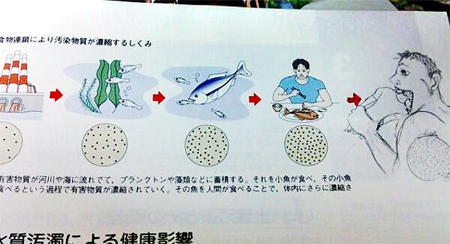 16個學生因為「上課太無聊」所以開始改造課本　看完才懂原來「沒認真上課的才是天才」！