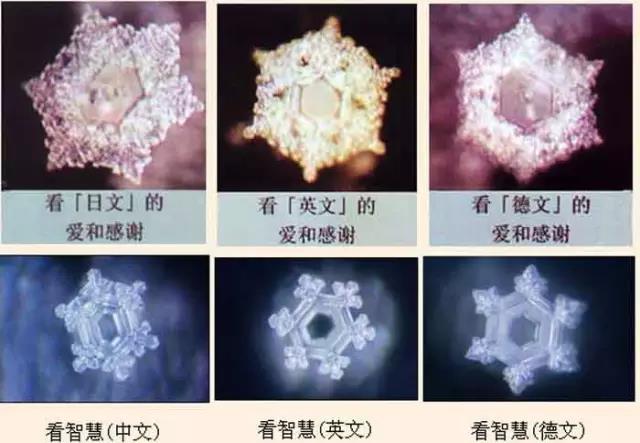 美國科學家發現因果報應的重大秘密！