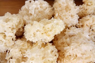 糖尿病別擔心, 6種鹼性幫你控制血糖！促進胰島素產生，讓血糖穩定在6.9