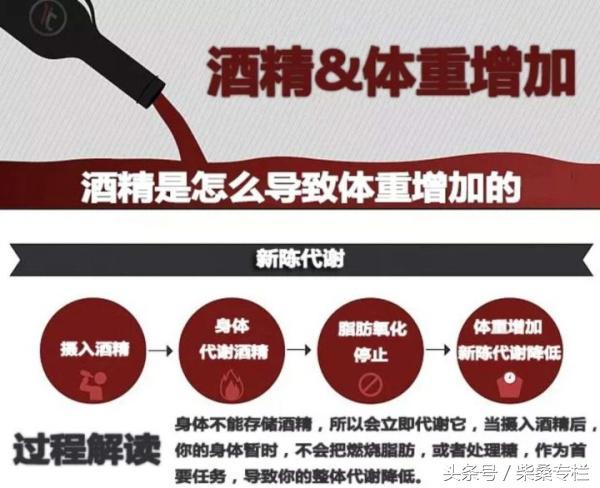 喝酒，到底是養生還是傷身？告訴你酒的這三個真相，從此懂喝酒