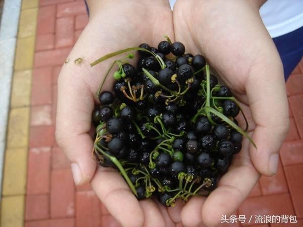 吃一口一生難得癌！你認識它嗎？ 