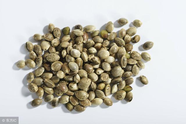 脖子越粗血管越差，腦梗要來，磨1種子泡水飲，血管通暢平安無事