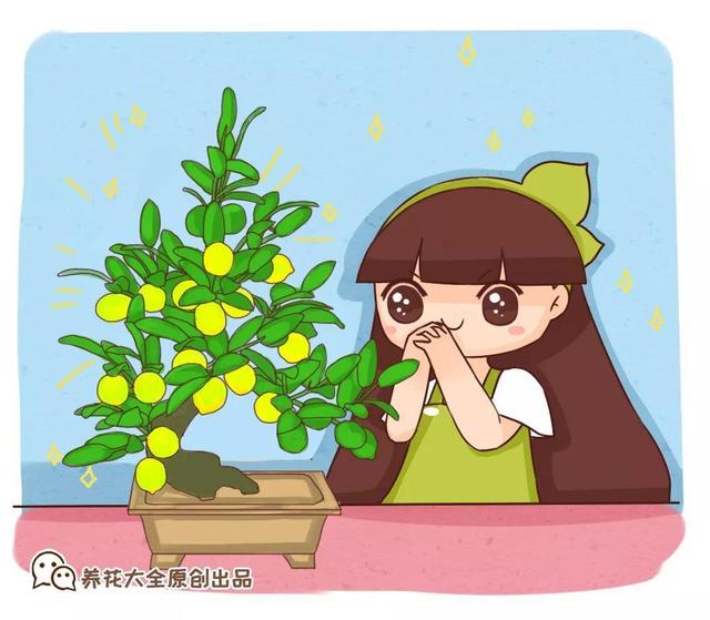 細菌最怕這種花，養1盆殺菌消毒，空氣清新少生病！