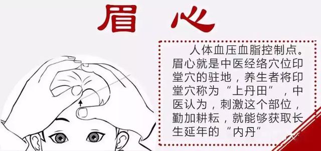 打開此處，高血脂、血壓、腦供血等問題就迎刃而解