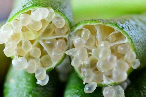 女人過了40要多吃，祛除皺紋，臉上滿滿的都是膠原蛋白