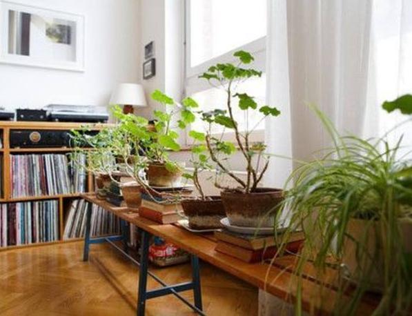 再也不需買肥料了！在家就可以「自製植物營養液」，輕鬆製作又方便，「水果皮」再也不要扔了