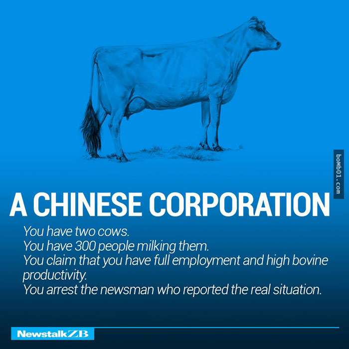 這兩頭牛能讓你不必上經濟學就能輕鬆秒懂全球各地的經濟形態