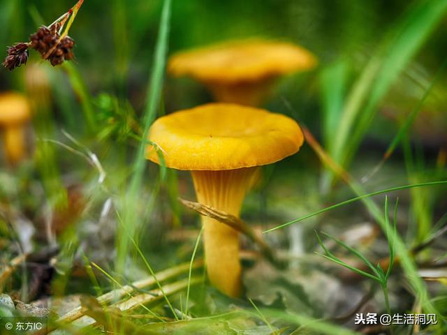 人生，該硬的時候，不能軟！