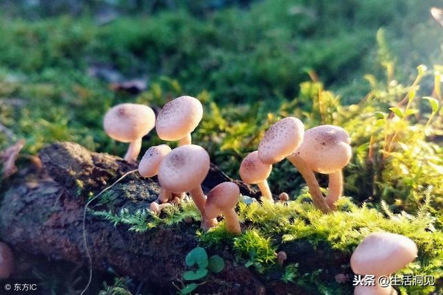 人生，該硬的時候，不能軟！