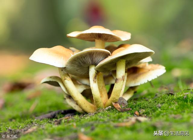 人生，該硬的時候，不能軟！