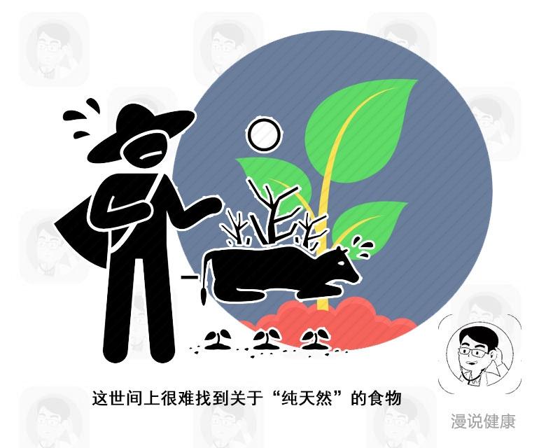 高溫加熱會致癌？被冤枉多年的味精，4個真相該為它平反