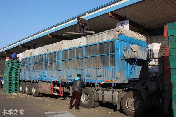 離婚後我嫁了一名卡車司機，和他一起跑車，我感覺很幸福