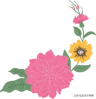 五月天石頭，你眼中的星空里，有一顆是我