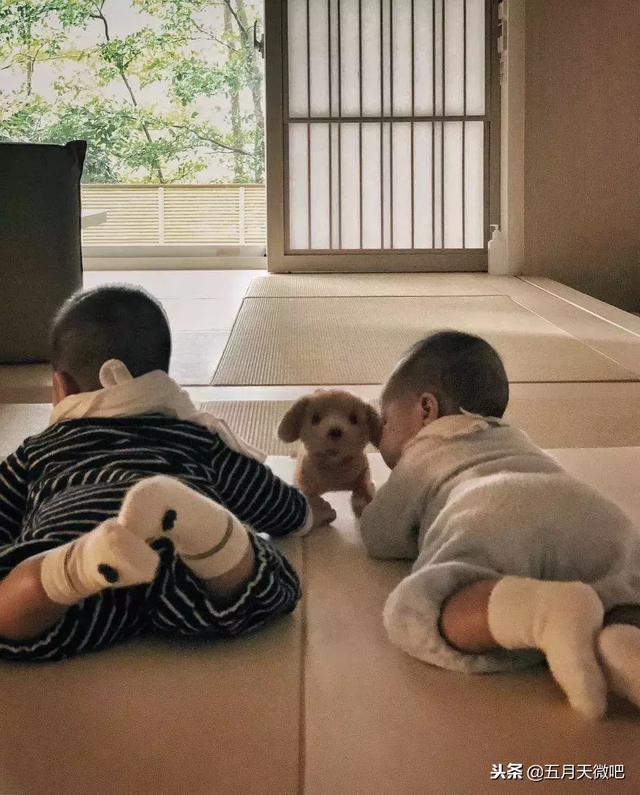 五月天的夫人們Ins更新合集｜他們應該會唱到很老吧～