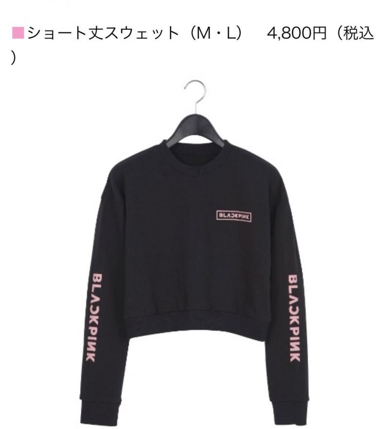 [BLACKPINK][新聞]181211 YG歌手們今年佔領音源榜單116天日榜1位，MV播放量10億3千萬！
