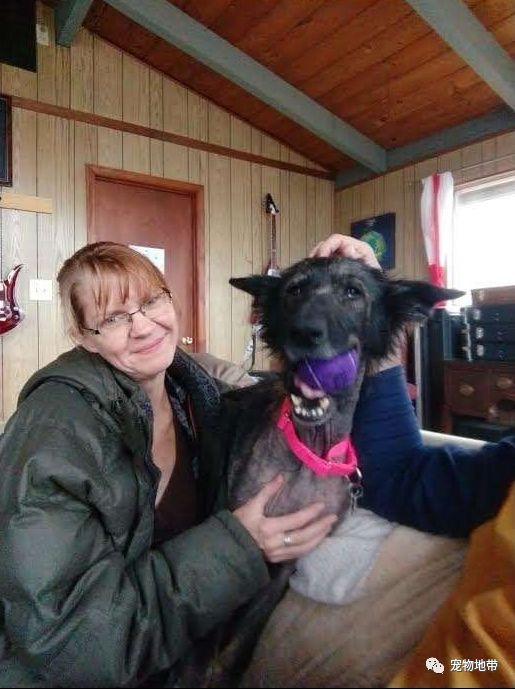 獲救狗狗骨瘦如柴 當他們給它一個網球時 狗狗的反應讓人淚目