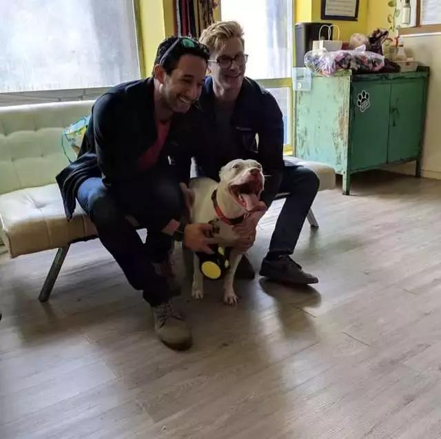 狗狗被領養後不敢睡覺，怕一睜眼看不到主人……