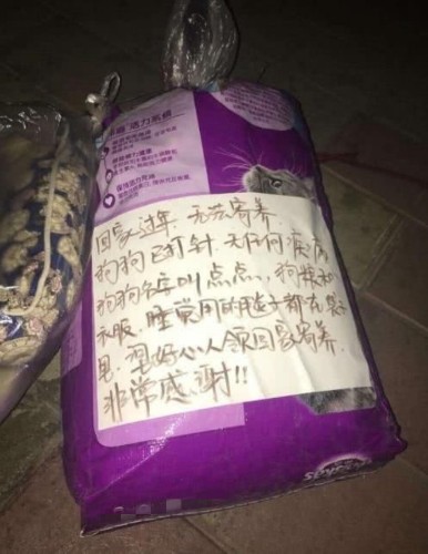 兩隻流浪狗即將安樂死，互相擁抱作別，場面讓人淚哭