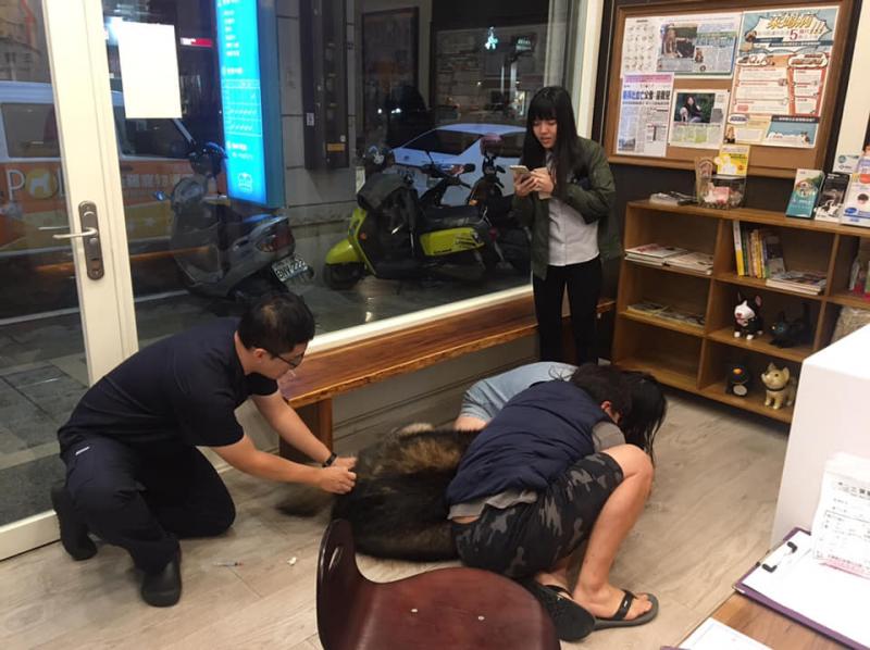 大隻汪「被壓制注射」好不爽　奧嘟嘟趴櫃檯罵醫生：縮好數123呢？