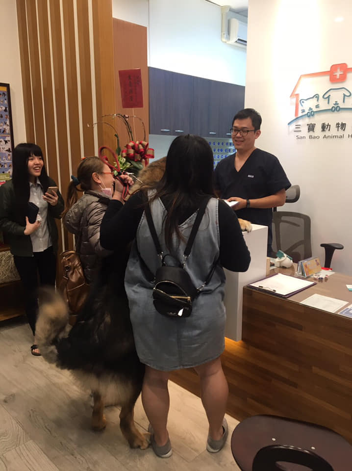 大隻汪「被壓制注射」好不爽　奧嘟嘟趴櫃檯罵醫生：縮好數123呢？