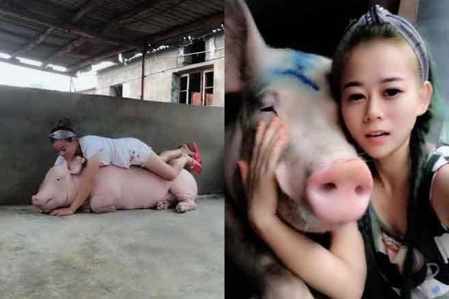 與豬同睡！湖北小妹年收445萬 人工呼吸救活400豬
