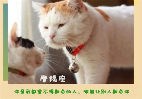 十二星座永遠不會說的心裡話!