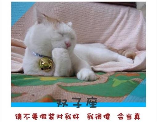 十二星座永遠不會說的心裡話!