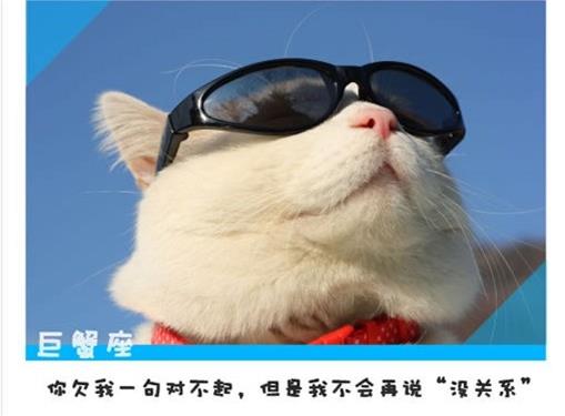 十二星座永遠不會說的心裡話!