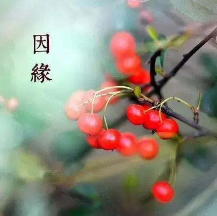 生命本是一場虛無，你認為自己是什麼，就是什麼