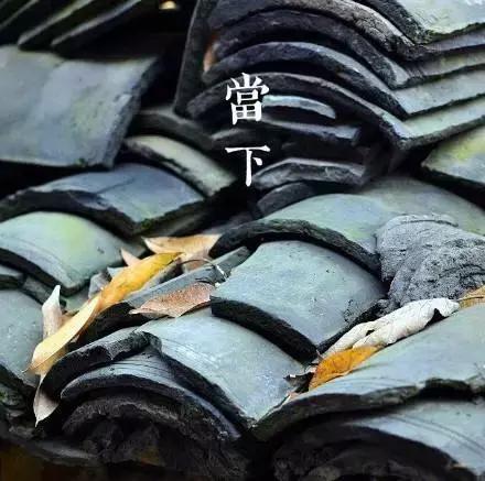 生命本是一場虛無，你認為自己是什麼，就是什麼