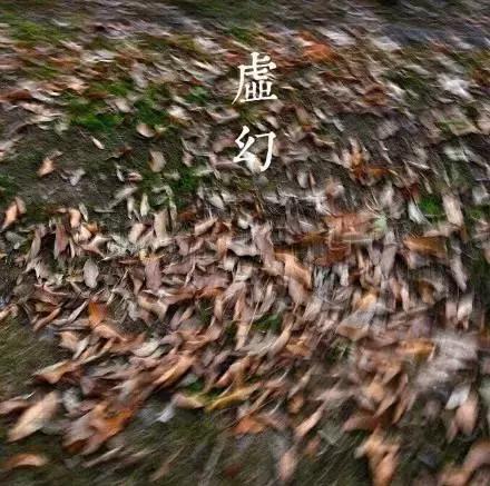 生命本是一場虛無，你認為自己是什麼，就是什麼