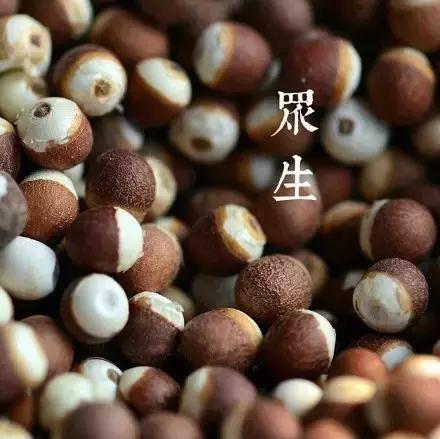 生命本是一場虛無，你認為自己是什麼，就是什麼