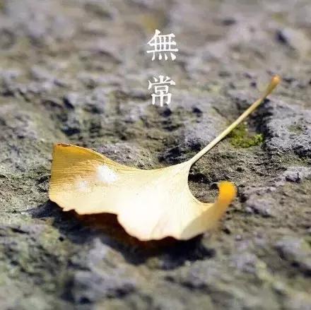 生命本是一場虛無，你認為自己是什麼，就是什麼