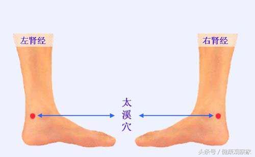 人體第一大補穴，不知道太可惜了！每天按摩10分鐘勝吃10年參！